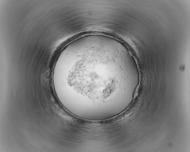 X0000091590971200709101037