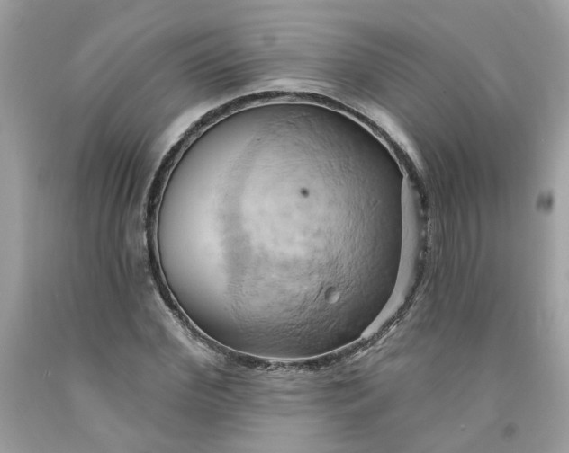 X0000091590972200709101037