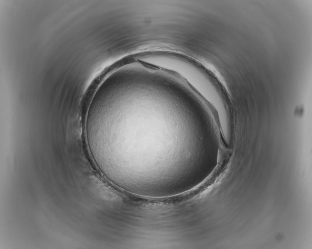 X0000091590973200709101037