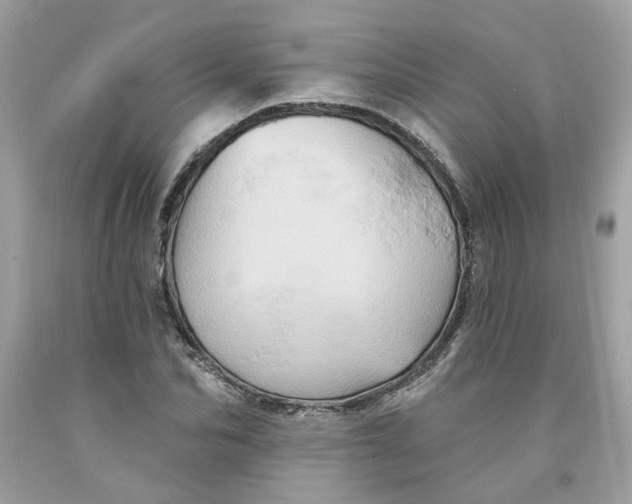 X0000091590974200709101037