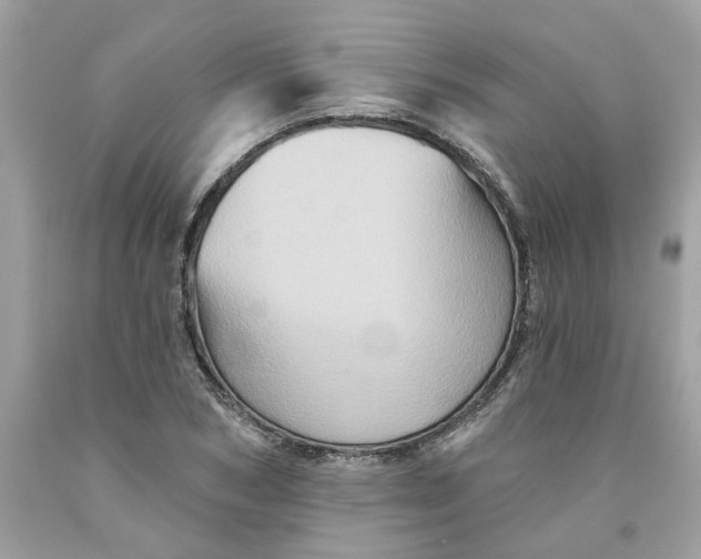 X0000091590978200709101037