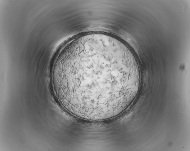 X0000091590979200709101037