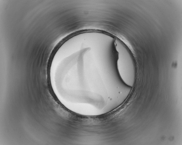 X0000091590980200709101037