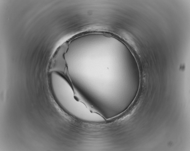 X0000091590981200709101037