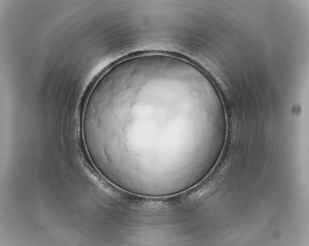 X0000091590982200709101037