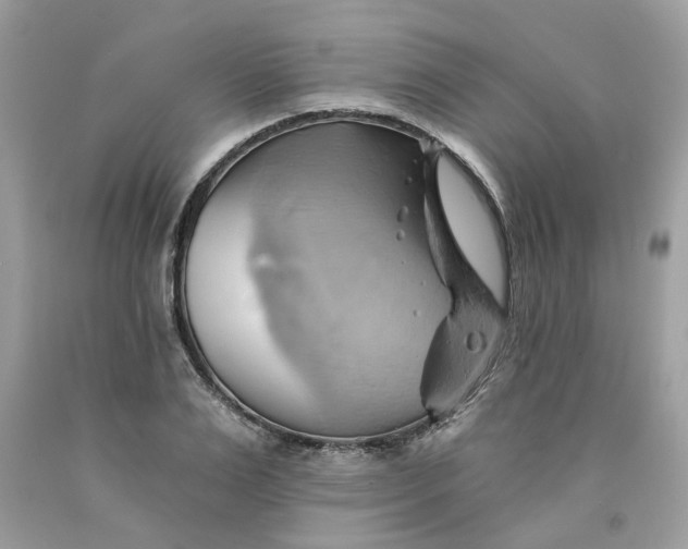 X0000091590983200709101037