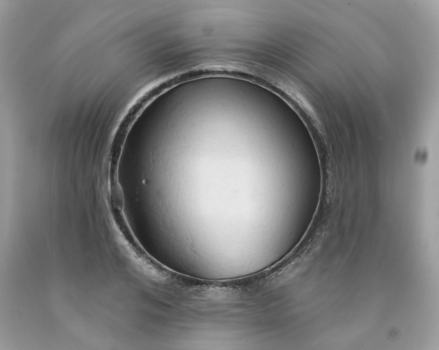 X0000091590984200709101037