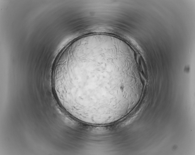 X0000091590986200709101037