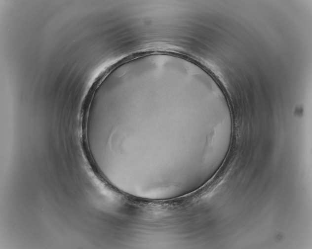 X0000091590987200709101037