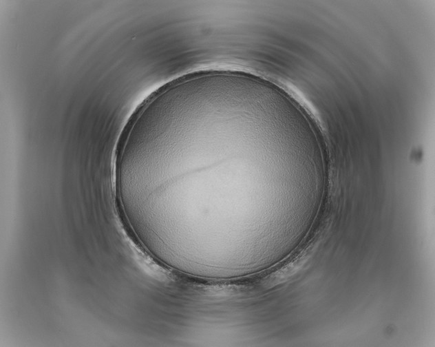 X0000091590988200709101037