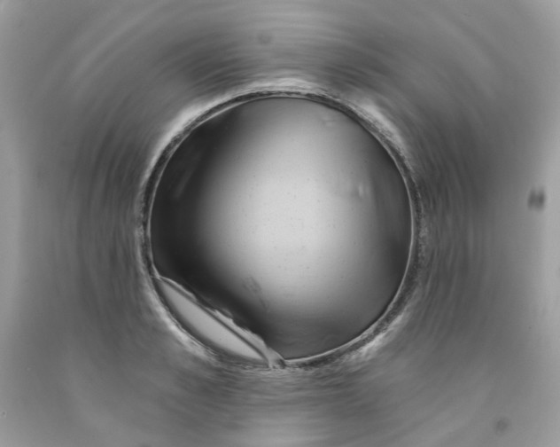 X0000091590989200709101037