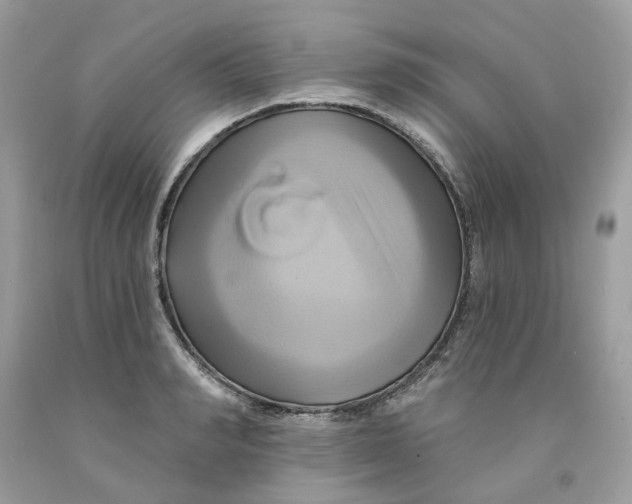 X0000091590990200709101037