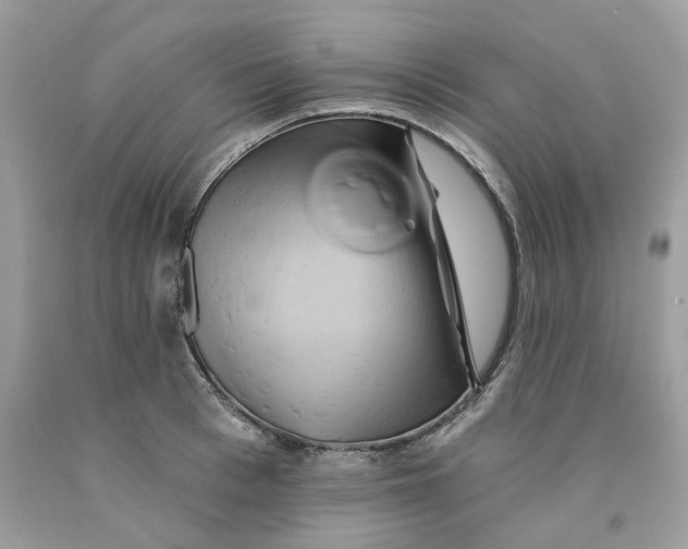 X0000091590993200709101037