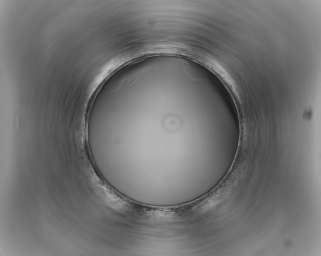 X0000091590994200709101036