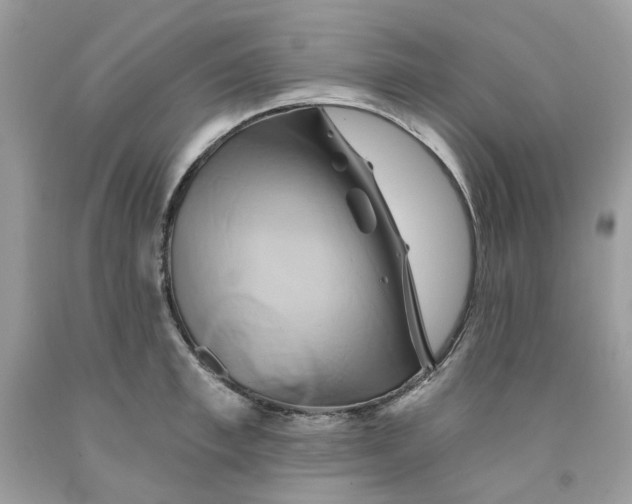 X0000091590997200709101036