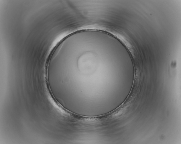 X0000091590998200709101036