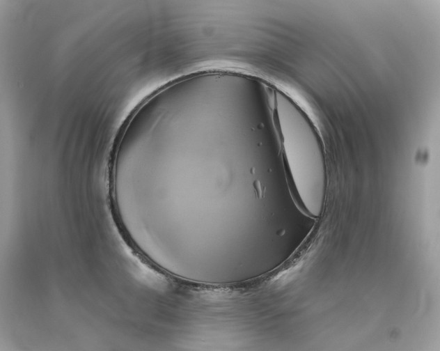 X0000091590999200709101036