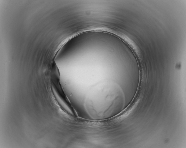 X0000091591001200709101036