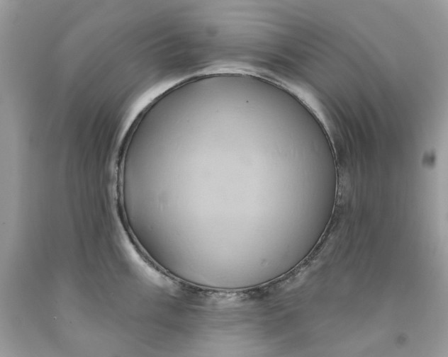 X0000091591003200709101036