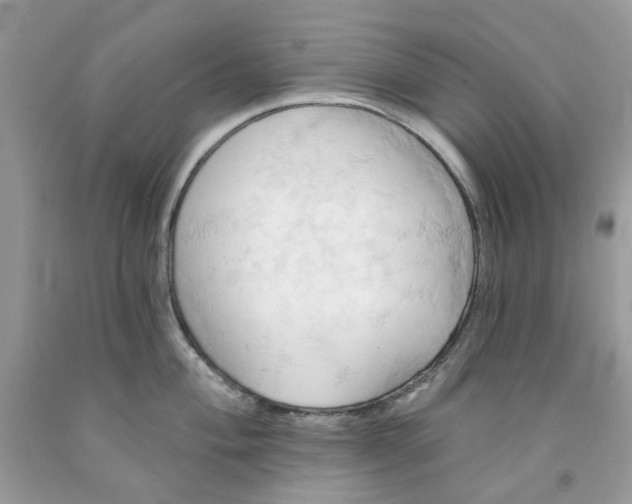 X0000091591004200709101036