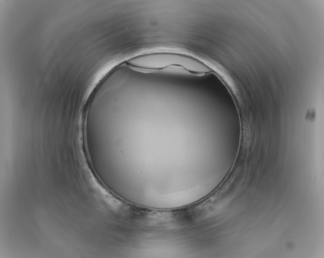 X0000091591006200709101036