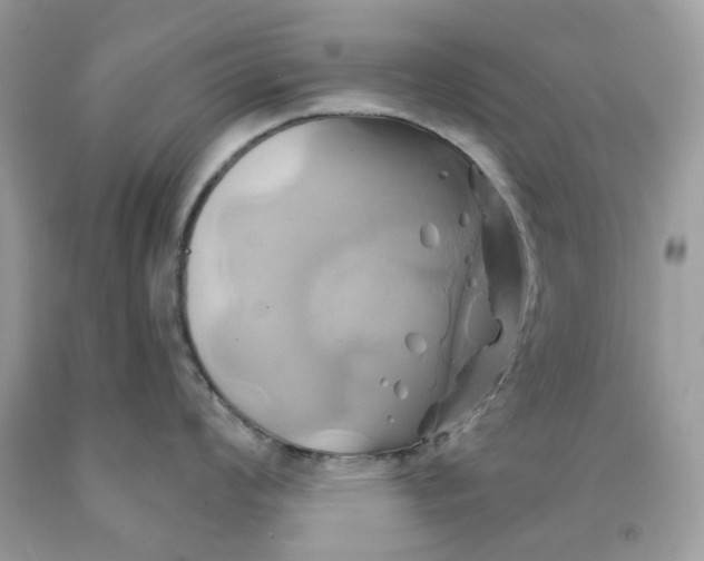 X0000091591008200709101036