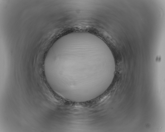 X0000091591009200709101036