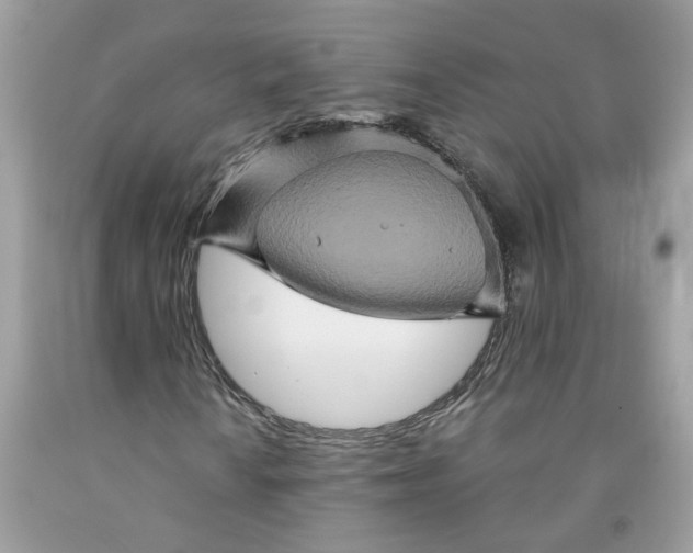 X0000091591010200709101036