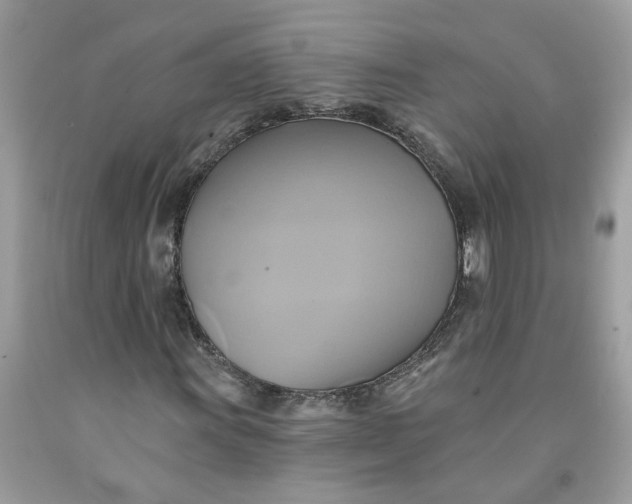 X0000091591011200709101036