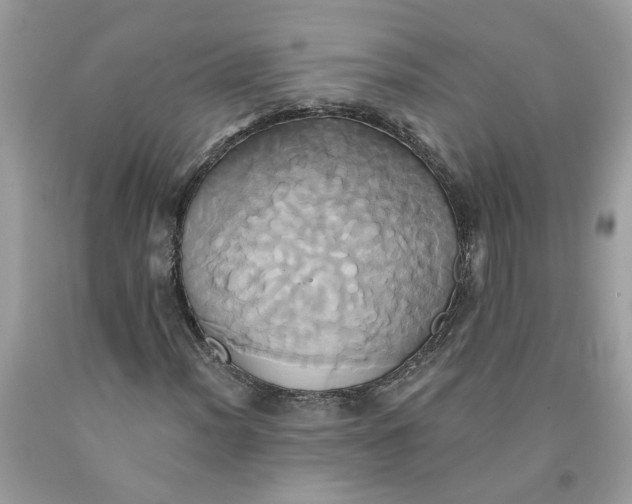 X0000091591012200709101036