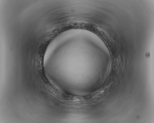 X0000091591013200709101036