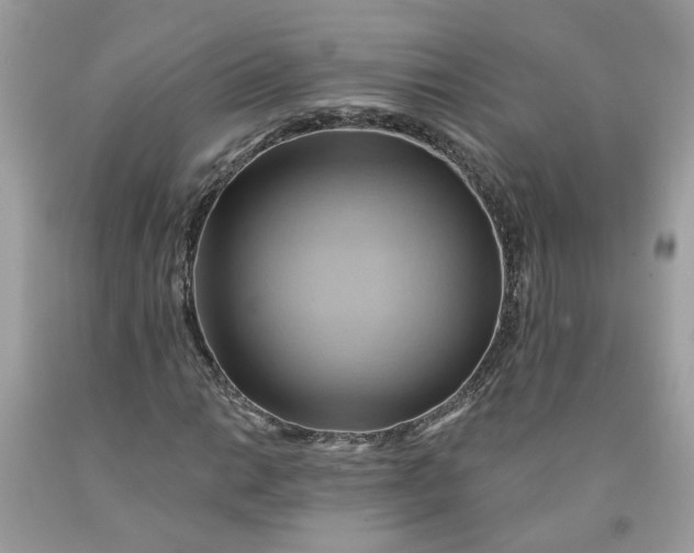 X0000091591014200709101036