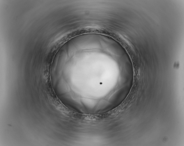 X0000091591015200709101036