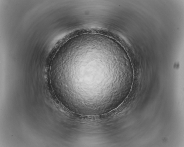 X0000091591016200709101036