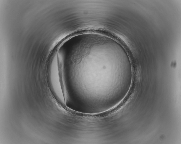 X0000091591018200709101036