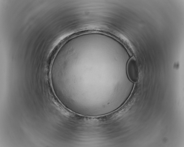 X0000091591019200709101036