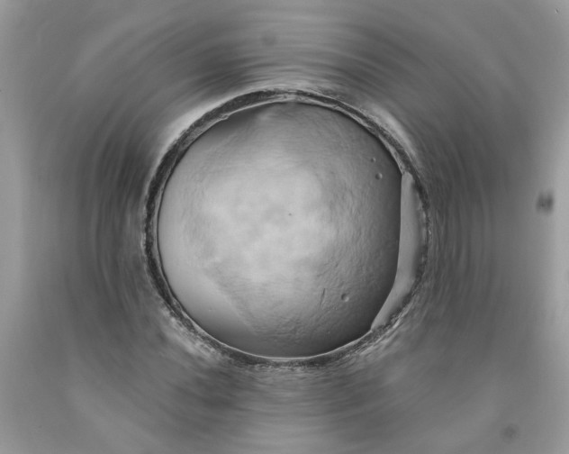 X0000091591020200709101036