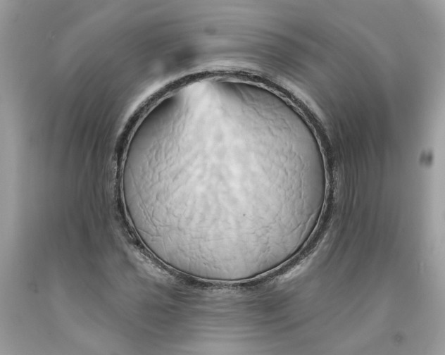 X0000091591021200709101036