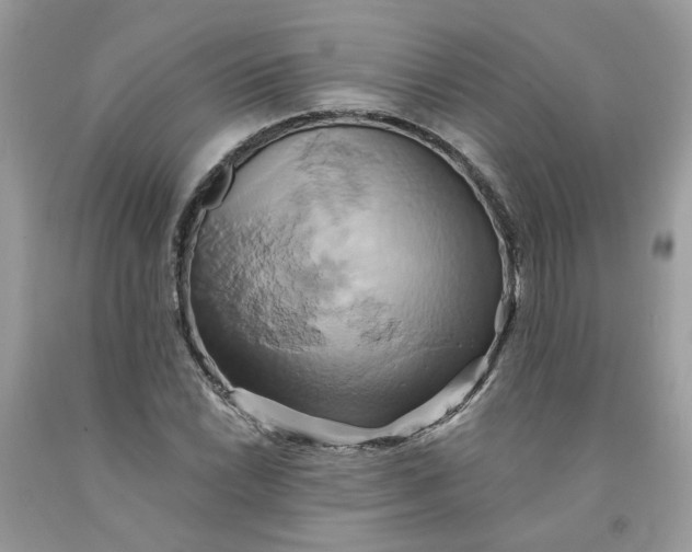 X0000091591022200709101036