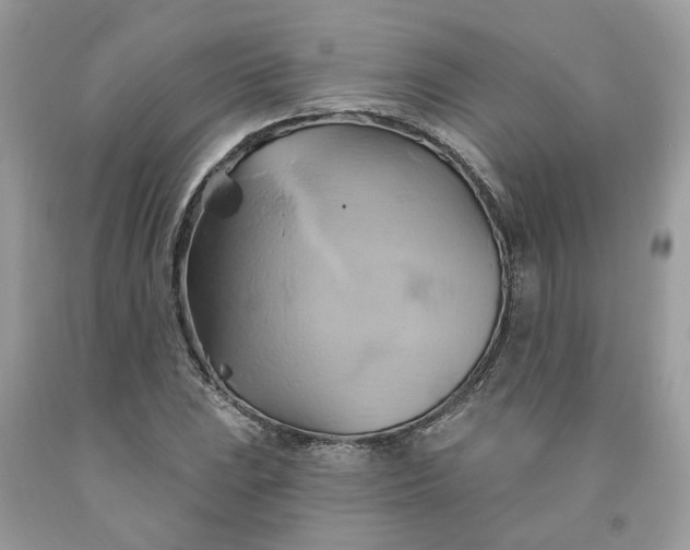 X0000091591023200709101036