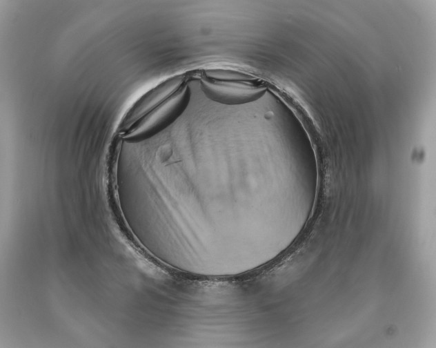 X0000091591024200709101036