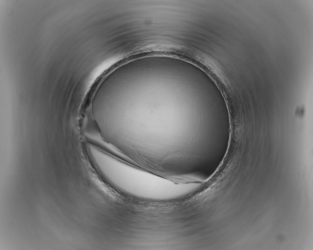 X0000091591026200709101036