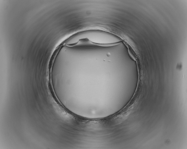 X0000091591028200709101036