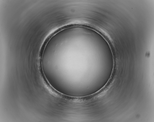 X0000091591029200709101036