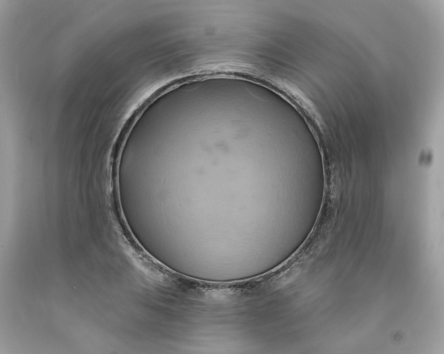 X0000091591031200709101036