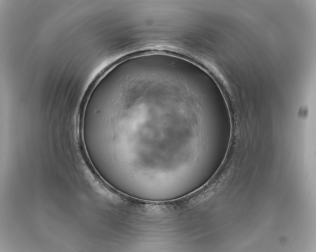 X0000091591032200709101036