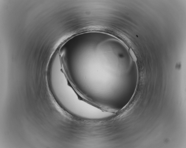 X0000091591034200709101036