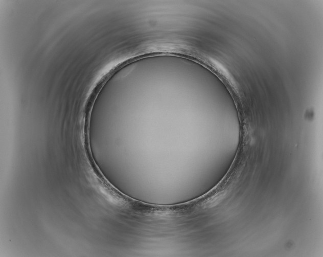 X0000091591035200709101036