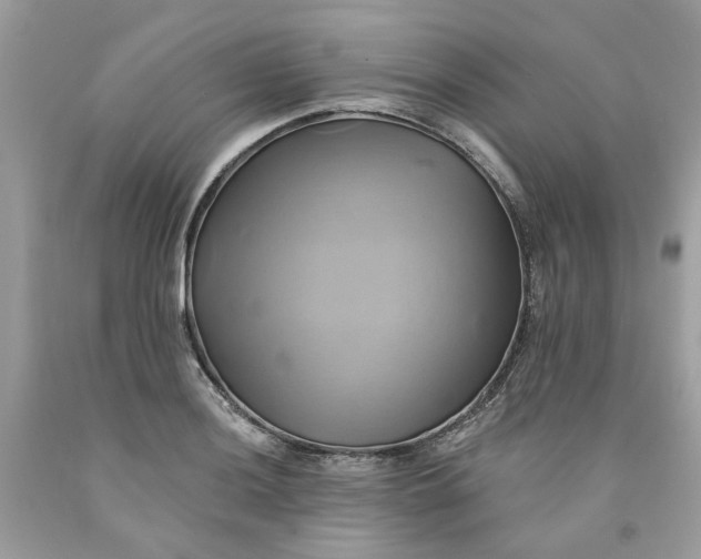 X0000091591036200709101036