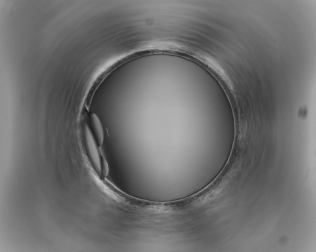 X0000091591037200709101036